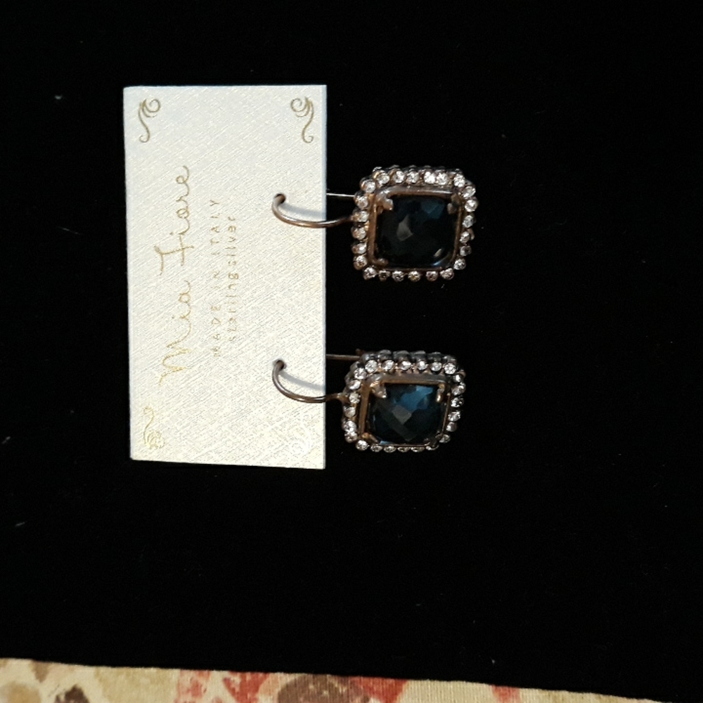 NWT SS earrings.